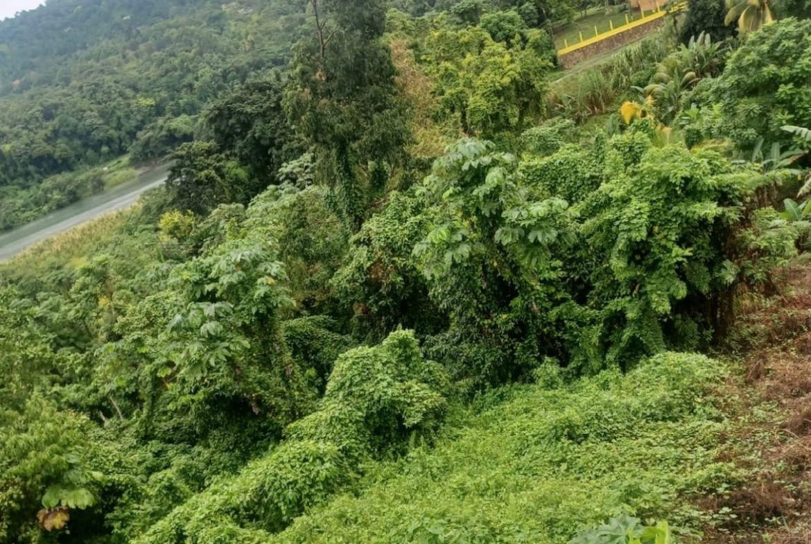 Second image of Wydah (whydah), st Margar in St. Margaret's Bay, Portland, Jamaica - property is For Sale