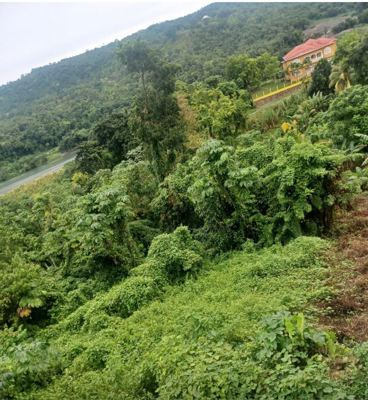 Second image of Wydah (whydah), st Margar in St. Margaret's Bay, Portland, Jamaica - property is For Sale