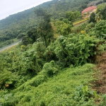 First image of Wydah (whydah), st Margar in St. Margaret's Bay, Portland, Jamaica - property is For Sale