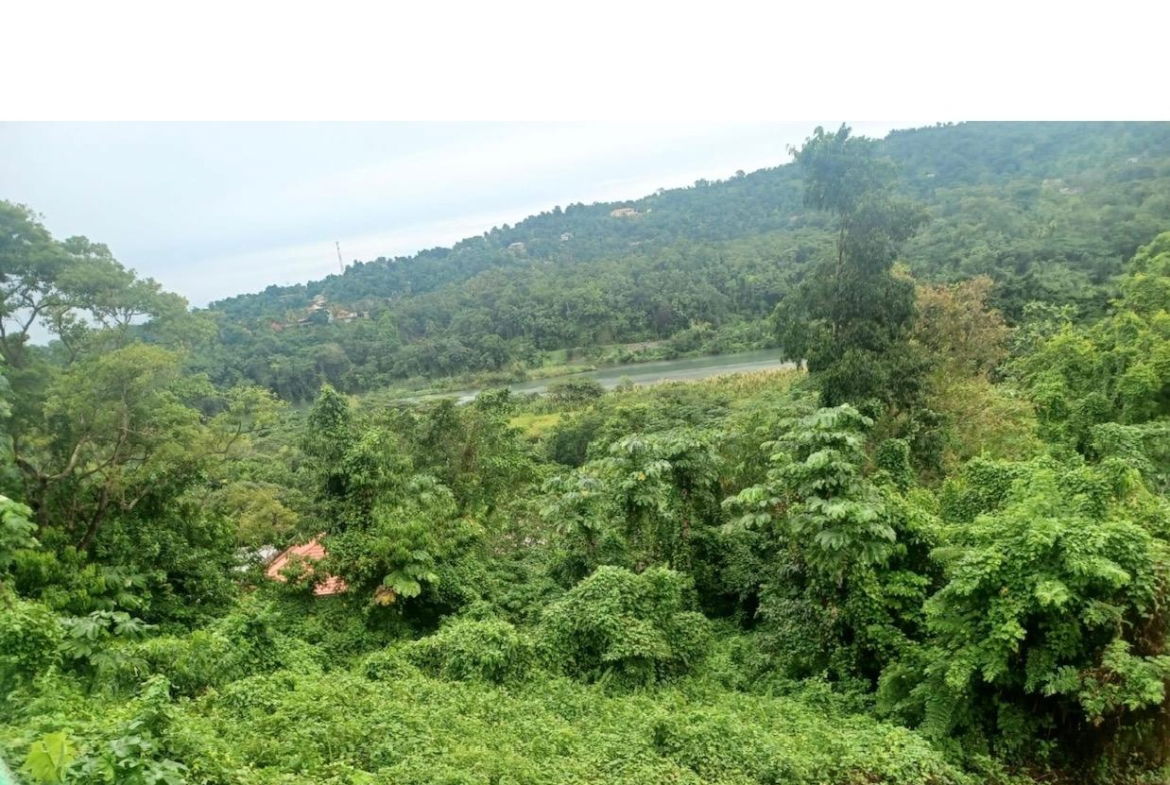 Fourth image of Wydah (whydah), st Margar in St. Margaret's Bay, Portland, Jamaica - property is For Sale
