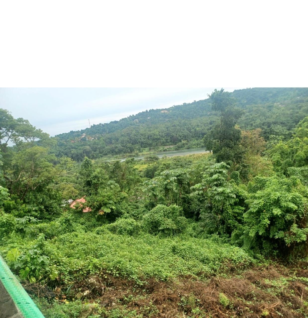 Fourth image of Wydah (whydah), st Margar in St. Margaret's Bay, Portland, Jamaica - property is For Sale