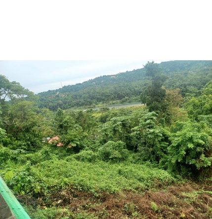 Fourth image of Wydah (whydah), st Margar in St. Margaret's Bay, Portland, Jamaica - property is For Sale