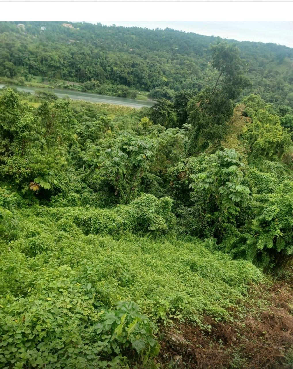 Fifth image of Wydah (whydah), st Margar in St. Margaret's Bay, Portland, Jamaica - property is For Sale