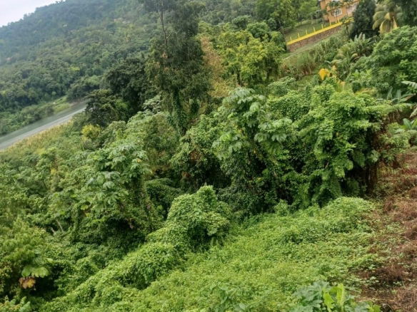 First image of Wydah (whydah), st Margar in St. Margaret's Bay, Portland, Jamaica - property is For Sale