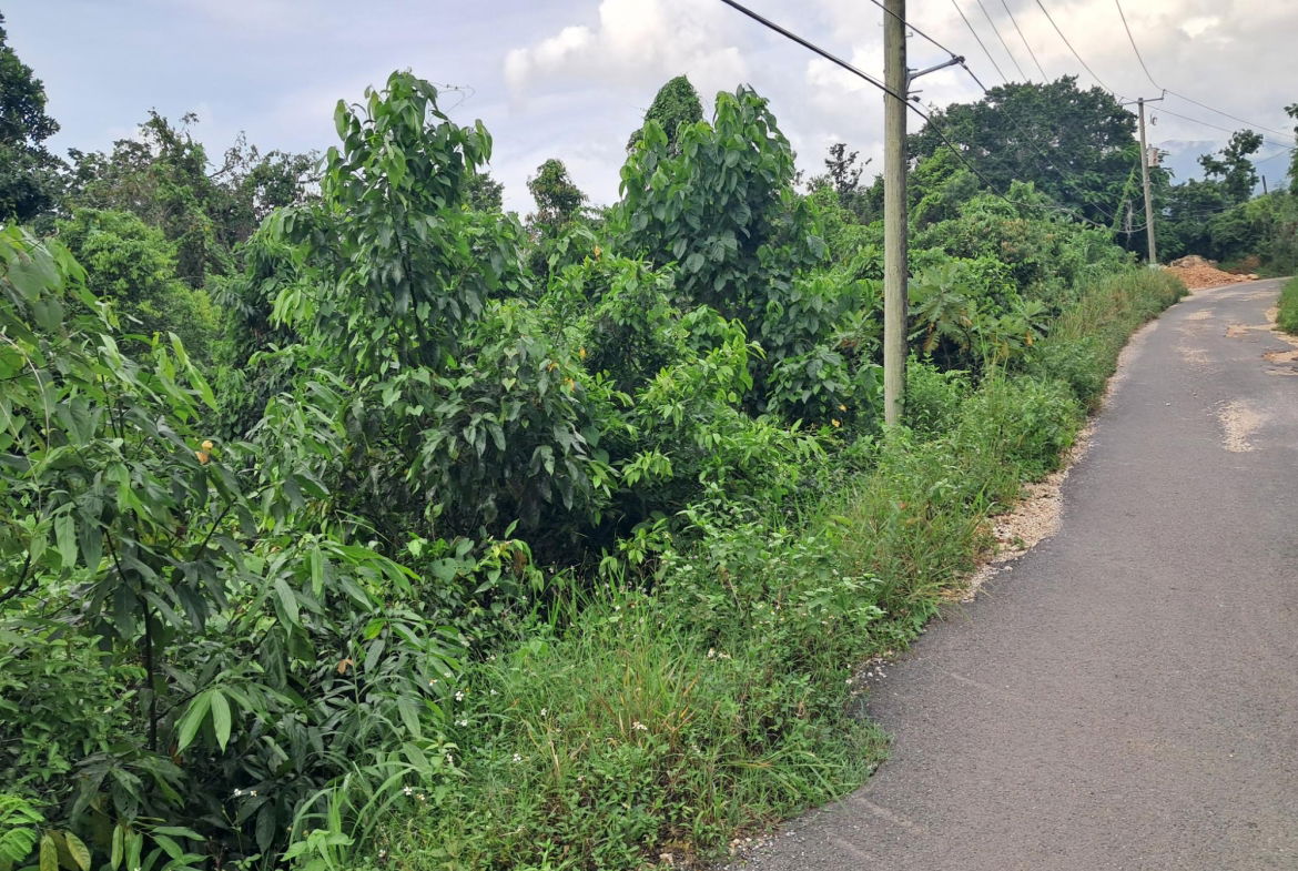 Second image of Lot-2 Industry Grove in Padmore, St. Andrew, Jamaica - property is For Sale