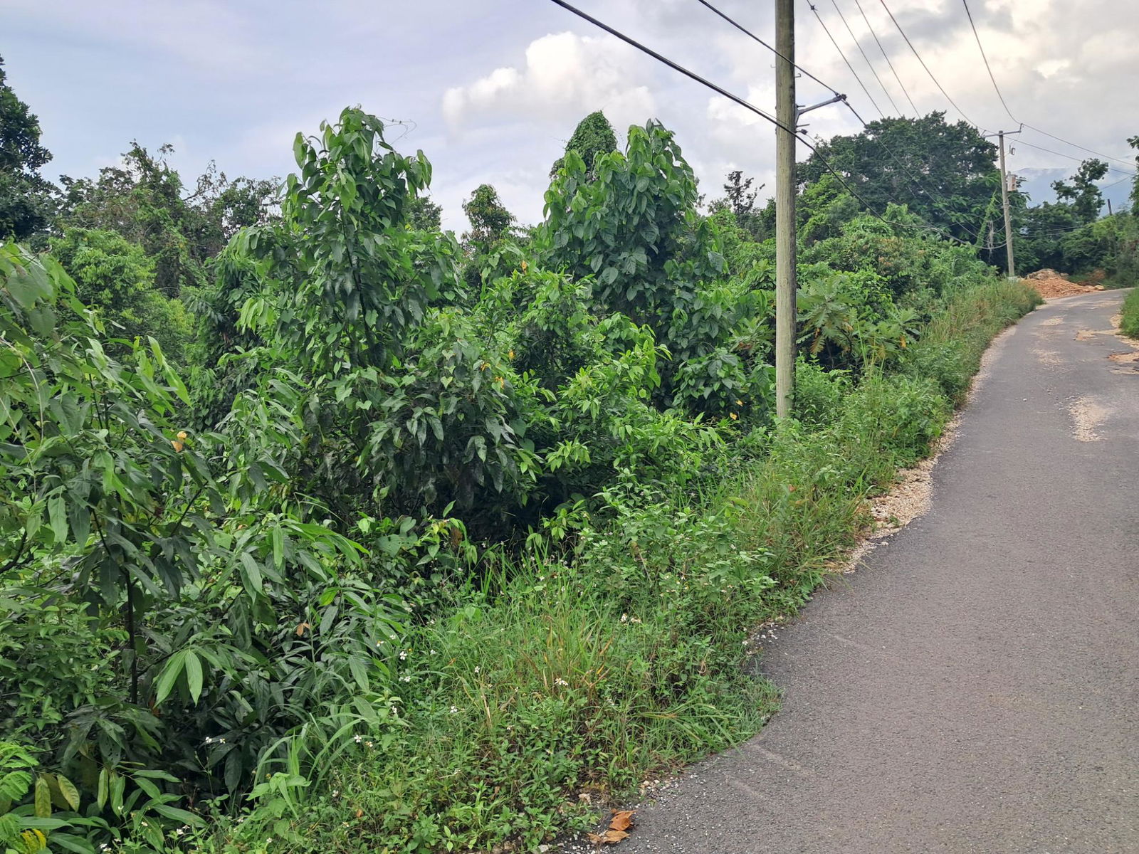 Second image of Lot-2 Industry Grove in Padmore, St. Andrew, Jamaica - property is For Sale