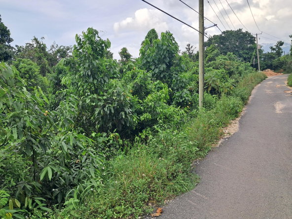 Second image of Lot-2 Industry Grove in Padmore, St. Andrew, Jamaica - property is For Sale