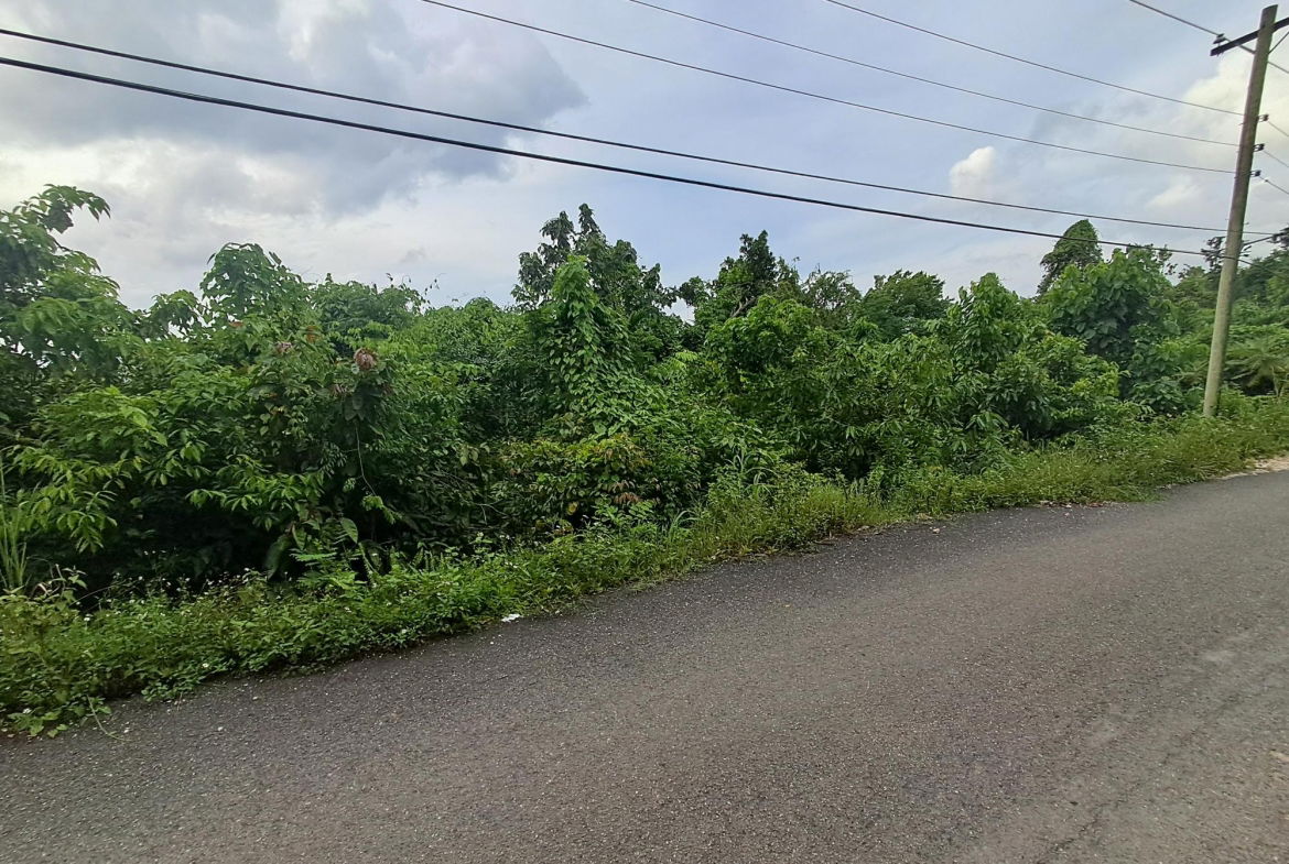 First image of Lot-2 Industry Grove in Padmore, St. Andrew, Jamaica - property is For Sale