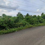 First image of Lot-2 Industry Grove in Padmore, St. Andrew, Jamaica - property is For Sale