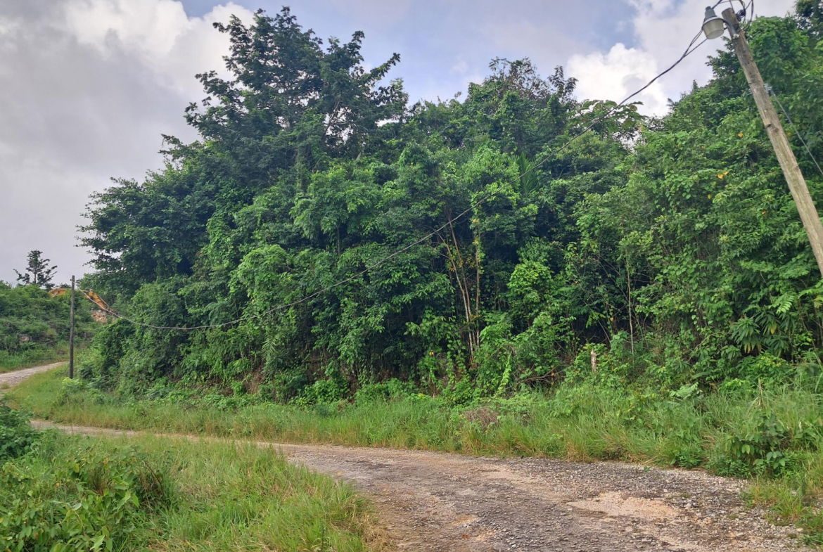 Fourth image of Lot-2 Industry Grove in Padmore, St. Andrew, Jamaica - property is For Sale