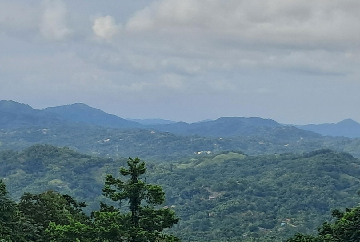 Fifth image of Lot-2 Industry Grove in Padmore, St. Andrew, Jamaica - property is For Sale