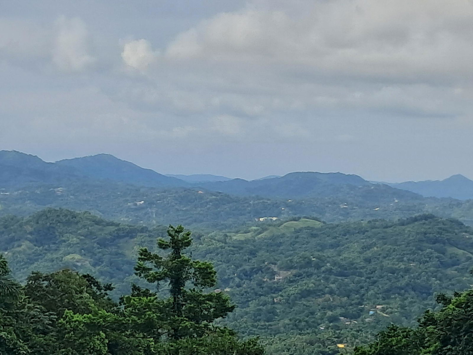 Fifth image of Lot-2 Industry Grove in Padmore, St. Andrew, Jamaica - property is For Sale