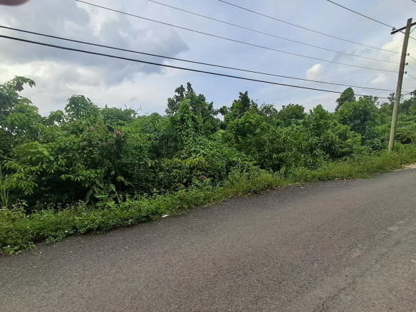 First image of Lot-2 Industry Grove in Padmore, St. Andrew, Jamaica - property is For Sale