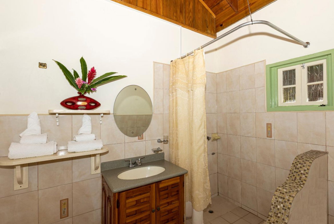 Twenty-Second image of Rose Hill in Long Bay, Portland, Jamaica - property is For Sale