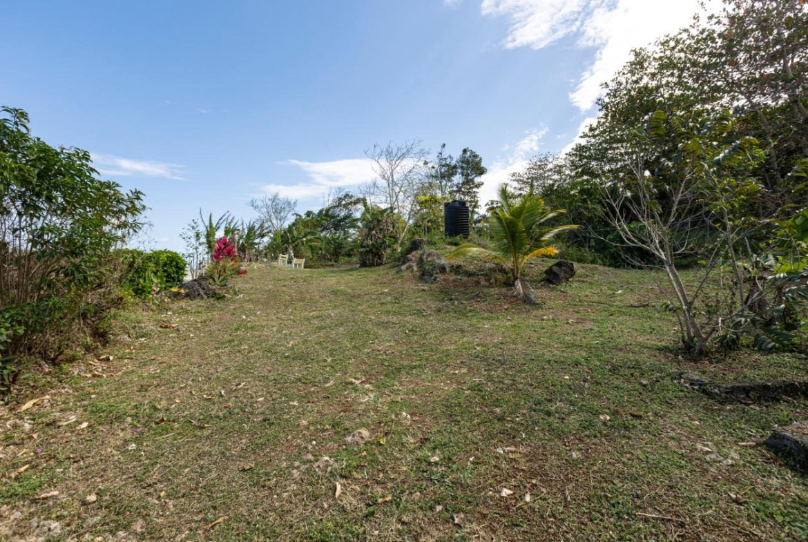 Twenty-Eighth image of Rose Hill in Long Bay, Portland, Jamaica - property is For Sale