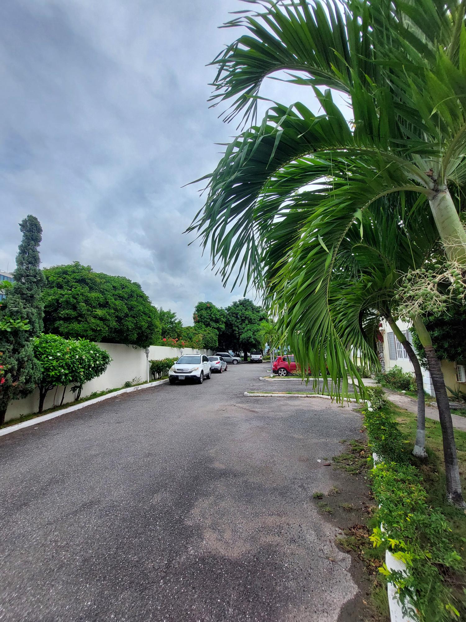 Fifth image of 8 34a Lady Musgrave Road in Kingston 5, St. Andrew, Jamaica - property is For Sale
