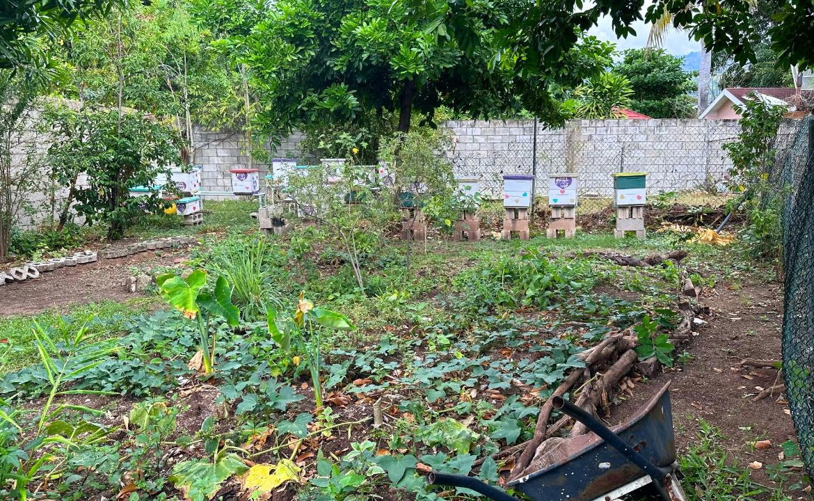 Twenty-Sixth image of 3 Sandhurst Crescent in Kingston 6, St. Andrew, Jamaica - property is For Sale