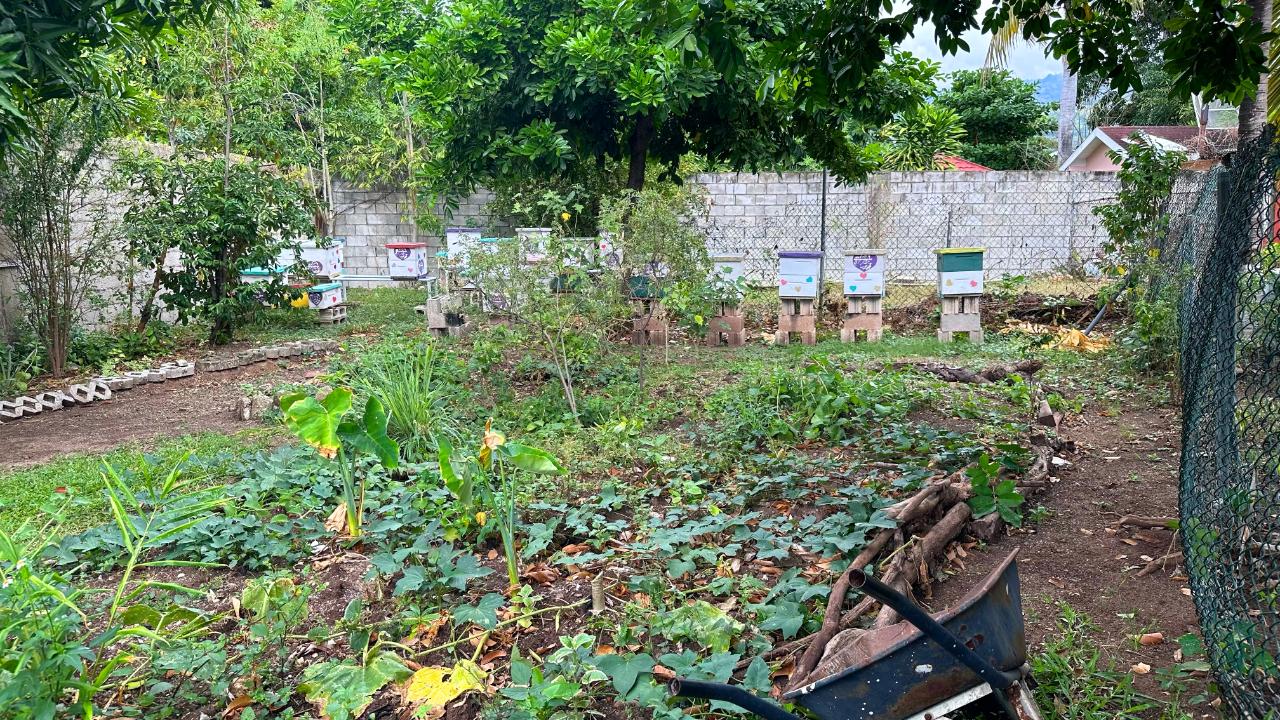 Twenty-Sixth image of 3 Sandhurst Crescent in Kingston 6, St. Andrew, Jamaica - property is For Sale