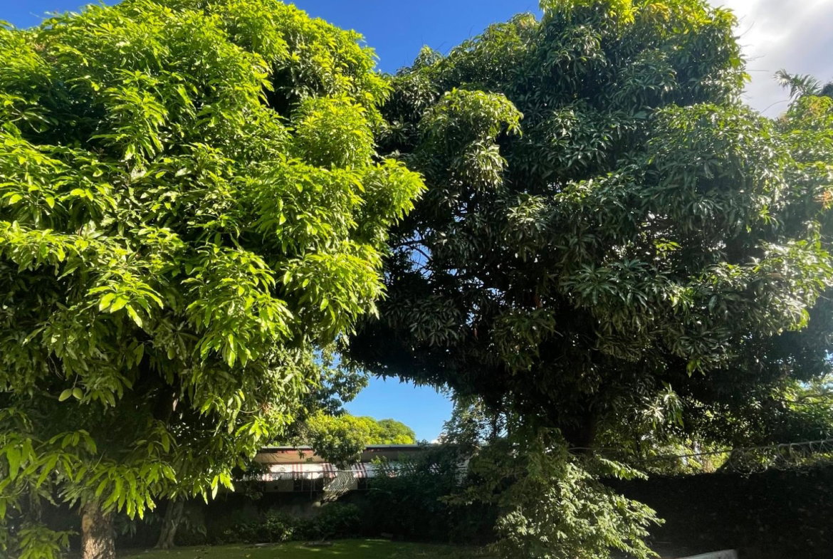 Twenty-Third image of 14-19 Three Views Avenue in Kingston 19, St. Andrew, Jamaica - property is For Sale