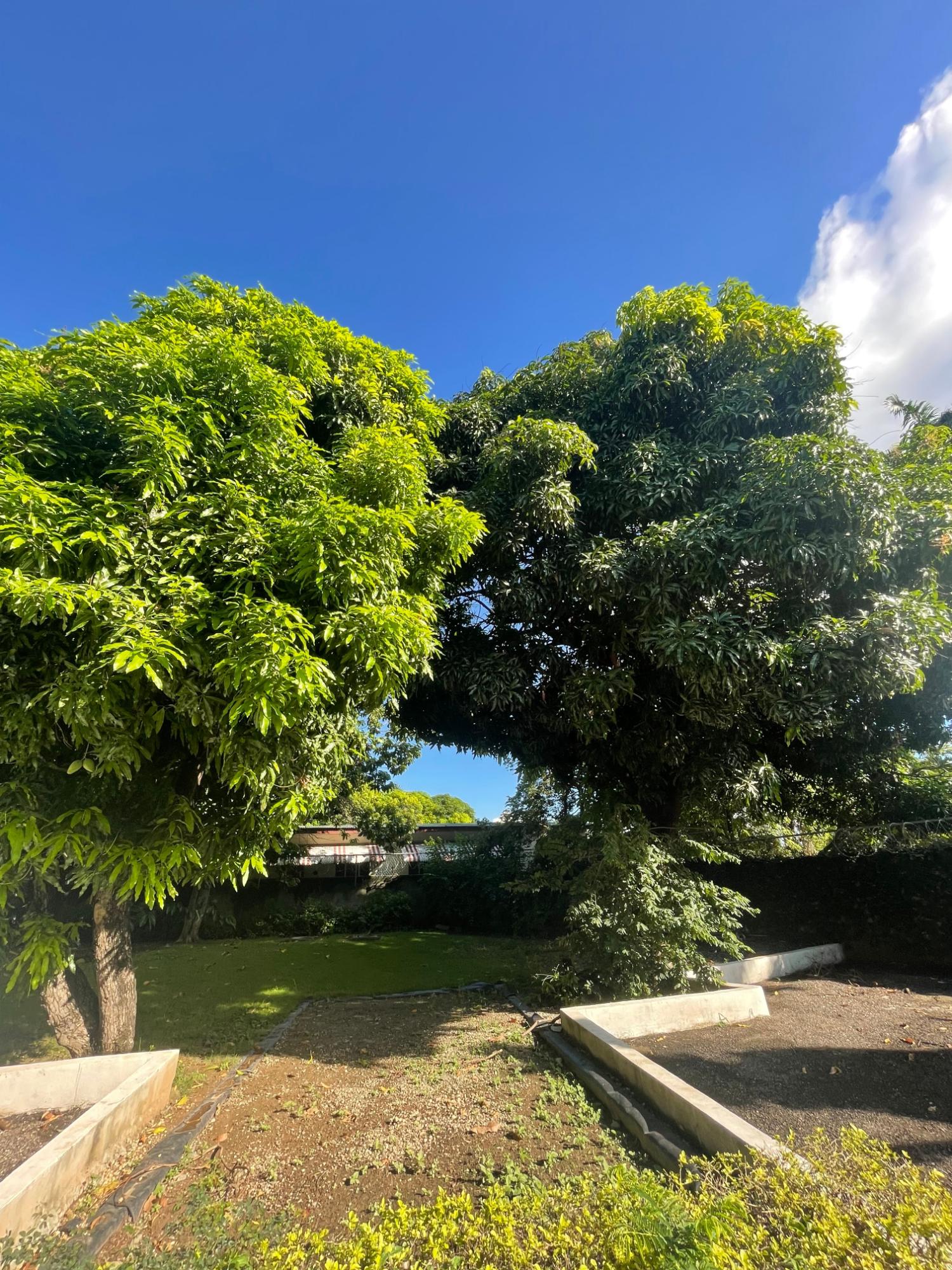 Twenty-Third image of 14-19 Three Views Avenue in Kingston 19, St. Andrew, Jamaica - property is For Sale