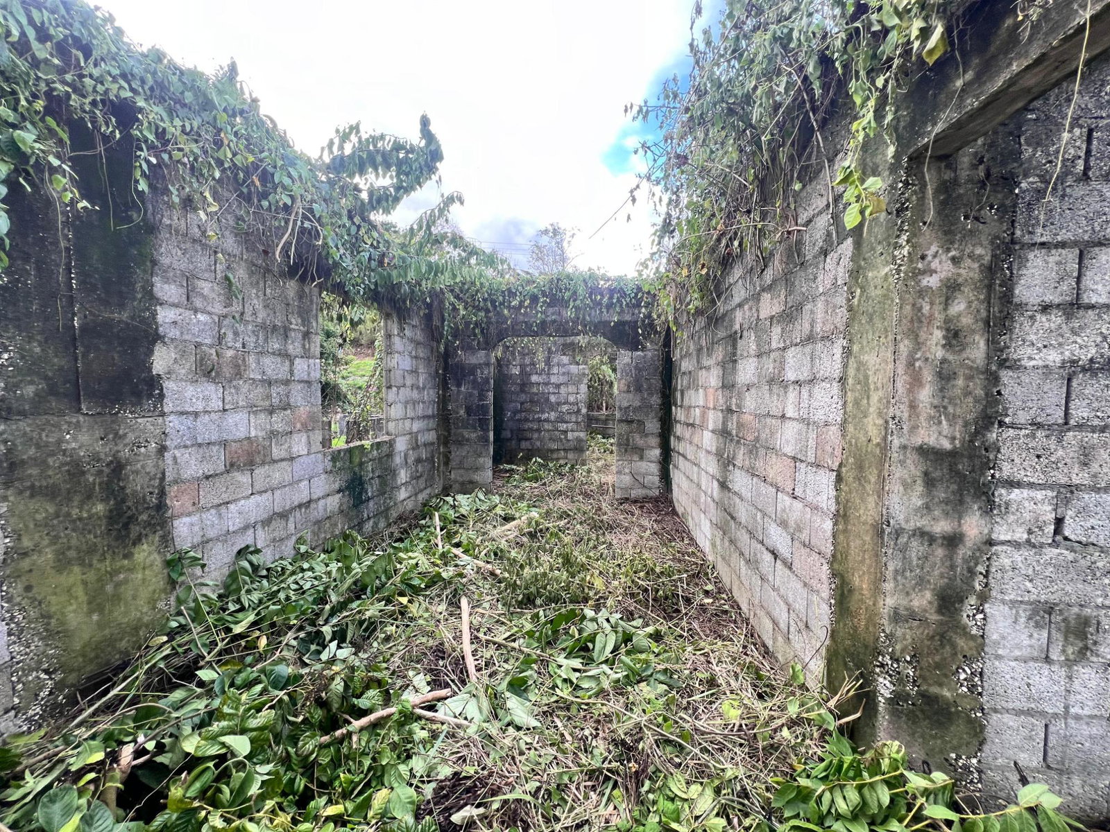 Fifth image of 33- Roaring River Boulevard in Davis Town, St. Ann, Jamaica - property is For Sale