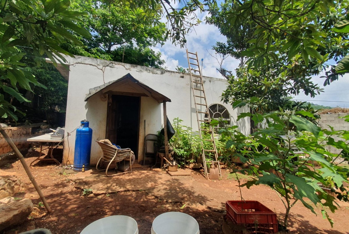 Sixth image of 236a Lord Nelson Drive in Kingston 19, St. Andrew, Jamaica - property is For Sale
