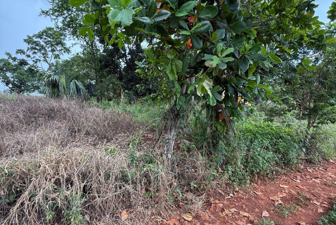 Second image of Prospect, Grove Town in Resource, Manchester, Jamaica - property is For Sale