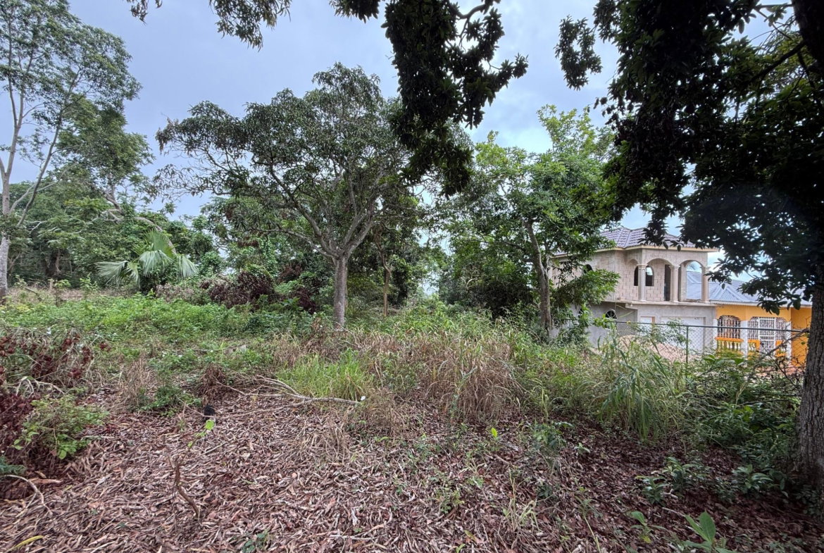 First image of Prospect, Grove Town in Resource, Manchester, Jamaica - property is For Sale