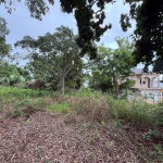 First image of Prospect, Grove Town in Resource, Manchester, Jamaica - property is For Sale