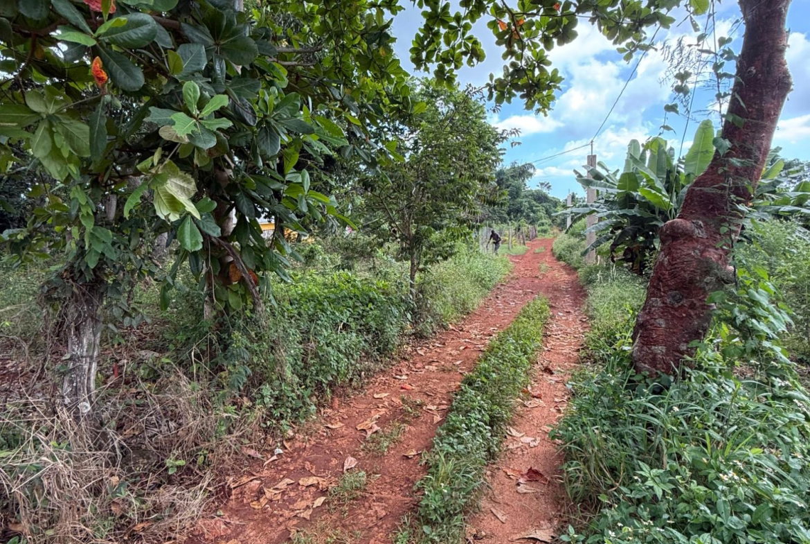 Third image of Prospect, Grove Town in Resource, Manchester, Jamaica - property is For Sale