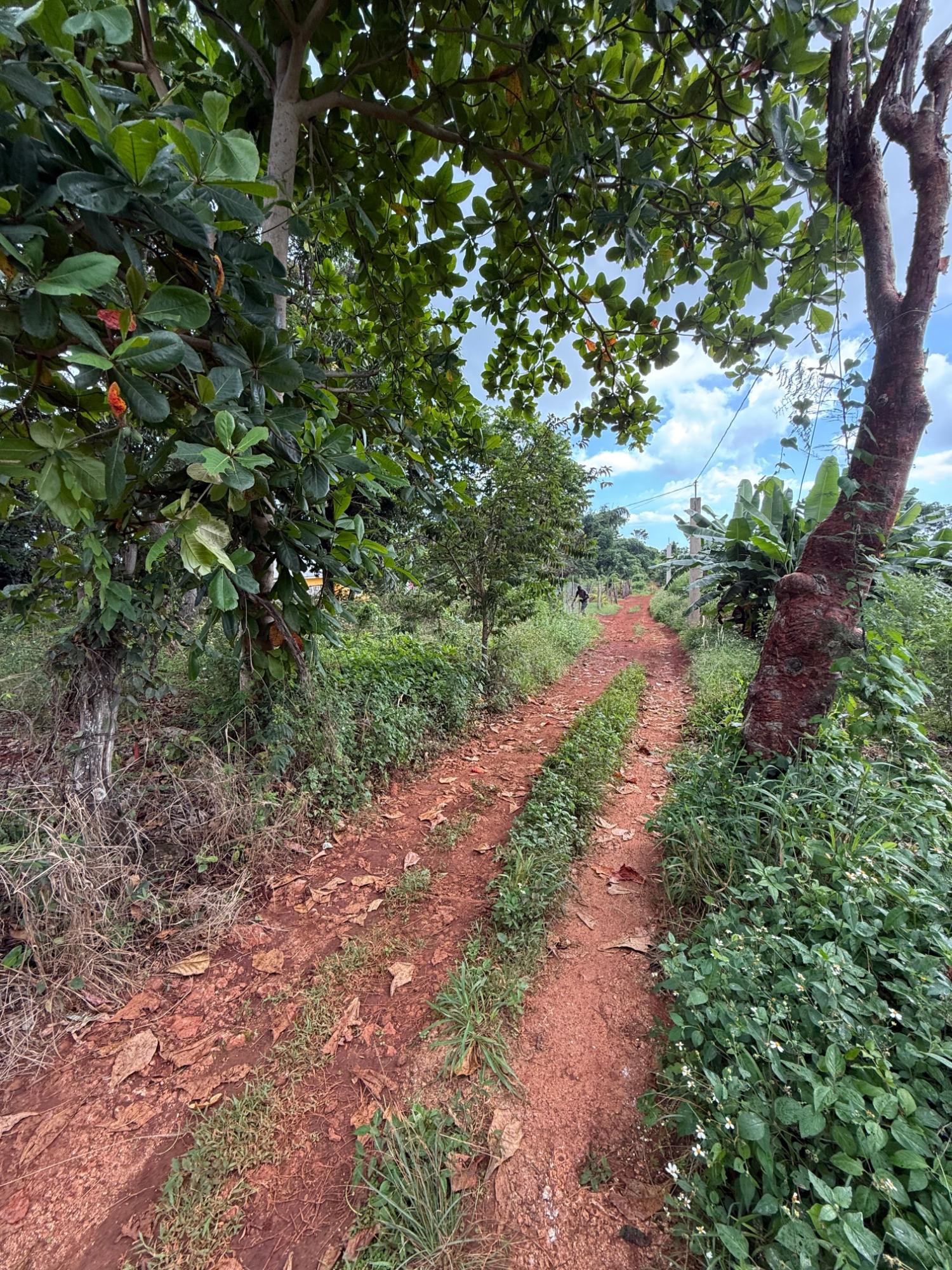 Third image of Prospect, Grove Town in Resource, Manchester, Jamaica - property is For Sale