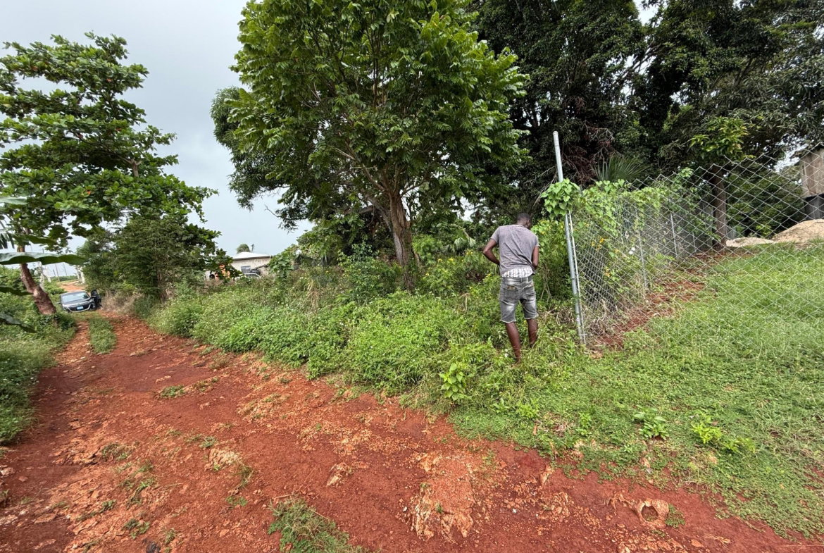 Sixth image of Prospect, Grove Town in Resource, Manchester, Jamaica - property is For Sale