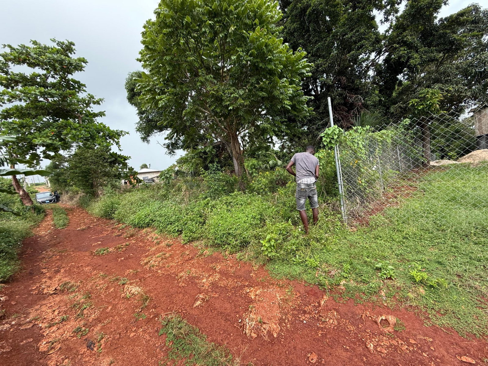 Sixth image of Prospect, Grove Town in Resource, Manchester, Jamaica - property is For Sale
