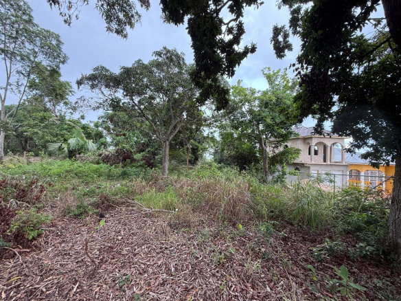 First image of Prospect, Grove Town in Resource, Manchester, Jamaica - property is For Sale