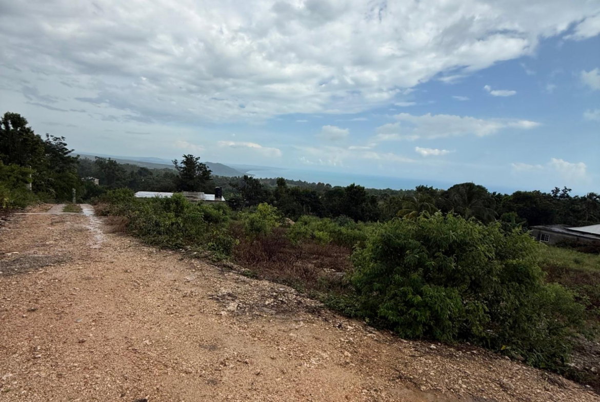 Eighth image of Prospect, Grove Town in Resource, Manchester, Jamaica - property is For Sale