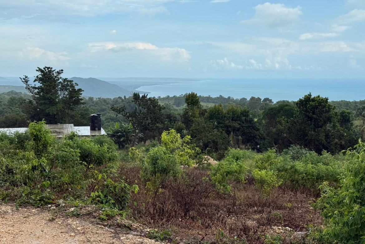 Ninth image of Prospect, Grove Town in Resource, Manchester, Jamaica - property is For Sale