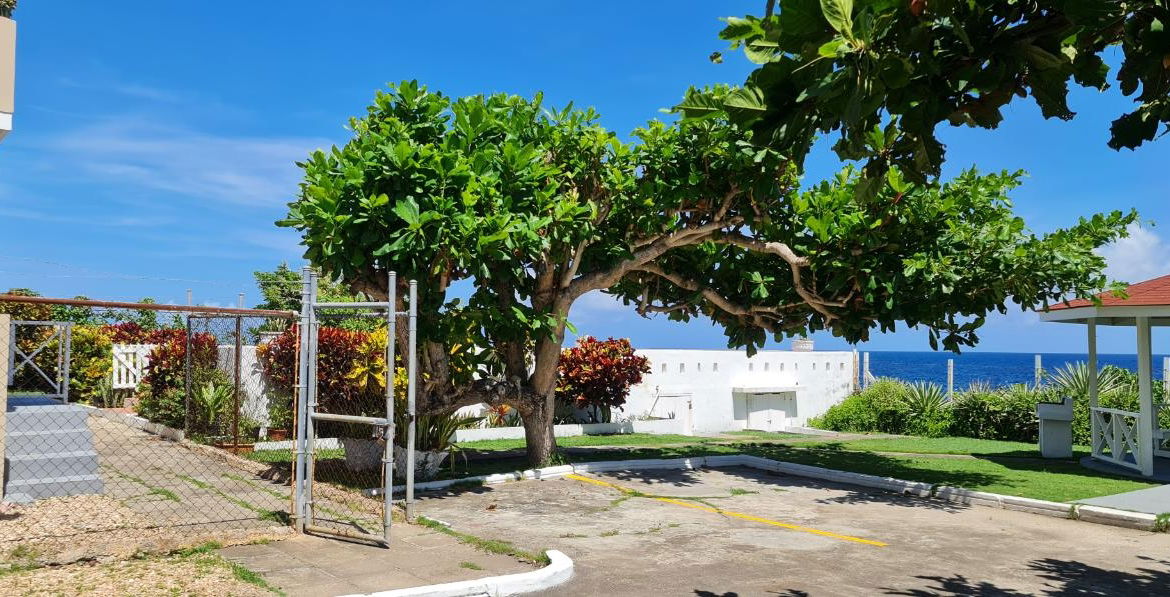 Twentieth image of Dairy Road in Discovery Bay, St. Ann, Jamaica - property is For Sale