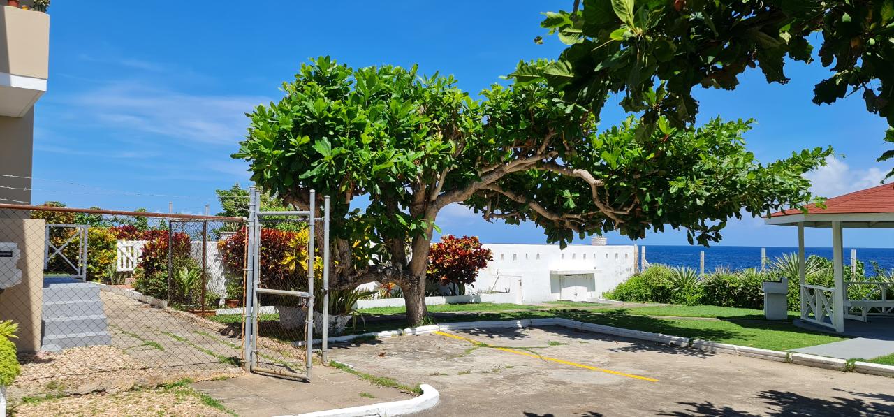 Twentieth image of Dairy Road in Discovery Bay, St. Ann, Jamaica - property is For Sale