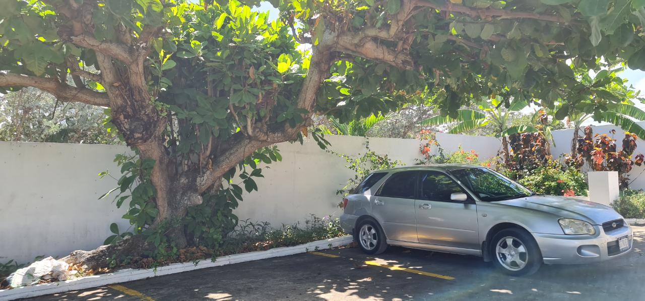 Twenty-Ninth image of Dairy Road in Discovery Bay, St. Ann, Jamaica - property is For Sale