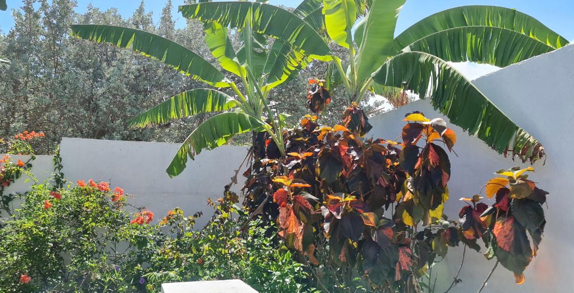 Thirtieth image of Dairy Road in Discovery Bay, St. Ann, Jamaica - property is For Sale