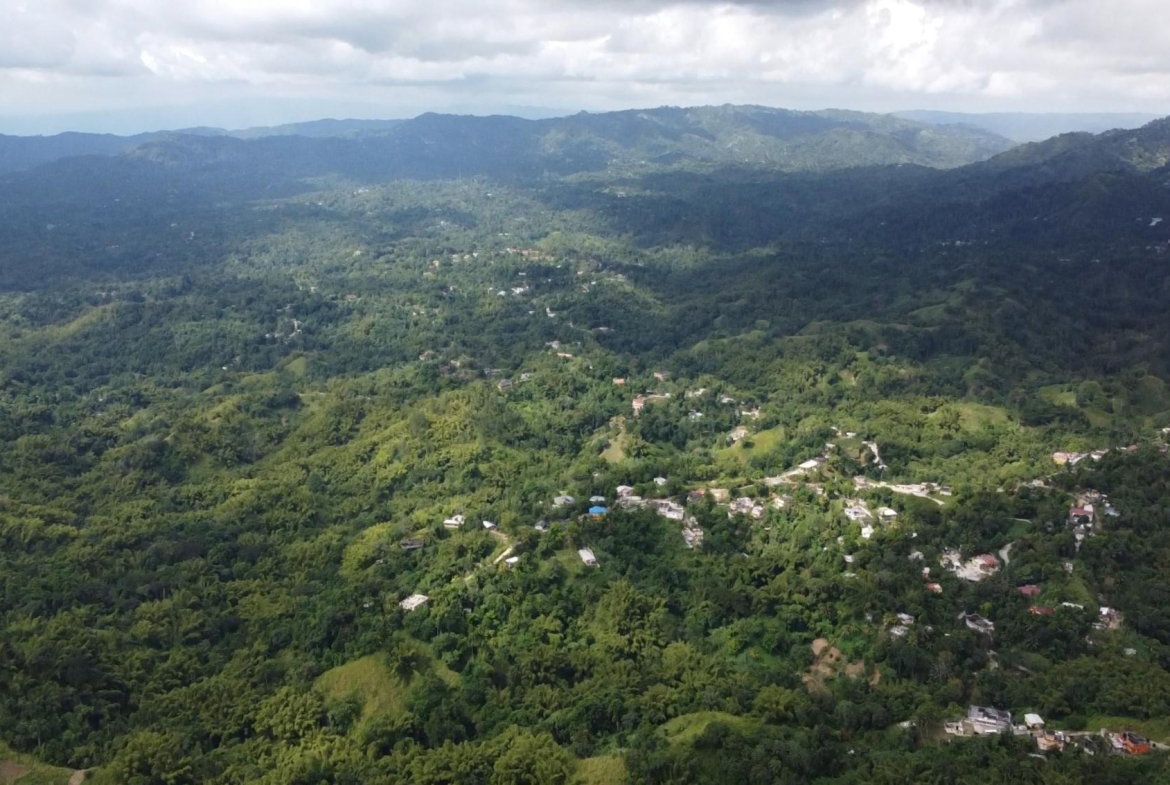 Eleventh image of Mount Ogle, Lawrence Tave in Lawrence Tavern, St. Andrew, Jamaica - property is For Sale
