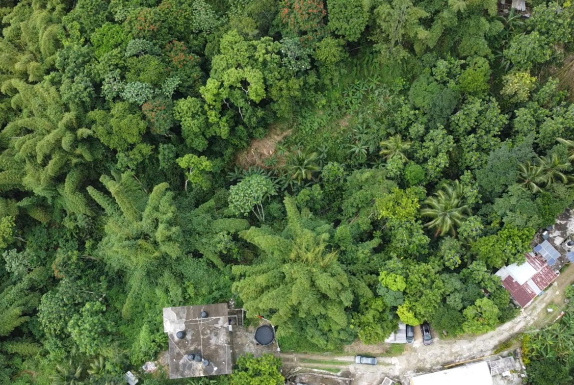 Fourth image of Mount Ogle, Lawrence Tave in Lawrence Tavern, St. Andrew, Jamaica - property is For Sale