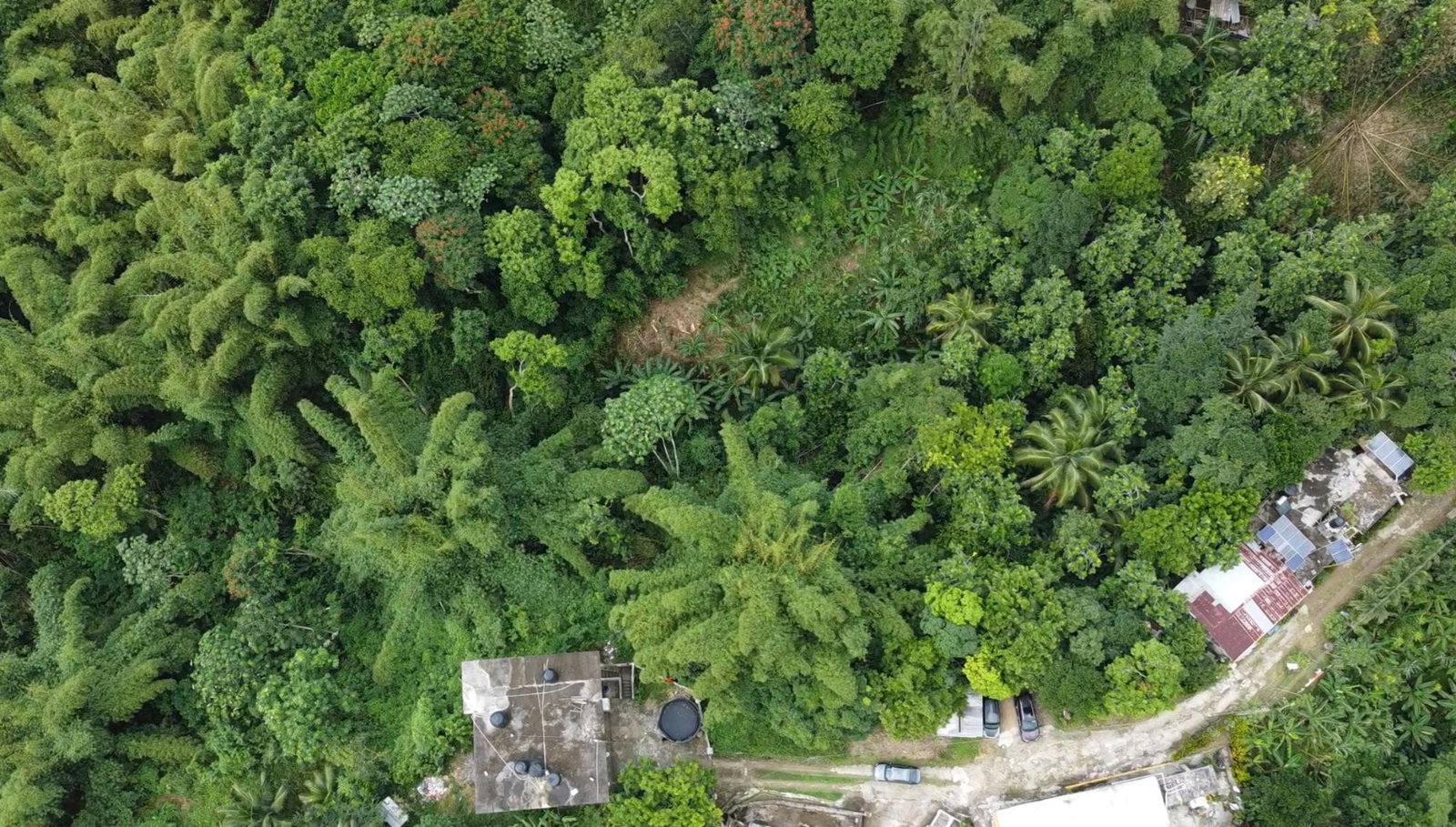 Fourth image of Mount Ogle, Lawrence Tave in Lawrence Tavern, St. Andrew, Jamaica - property is For Sale