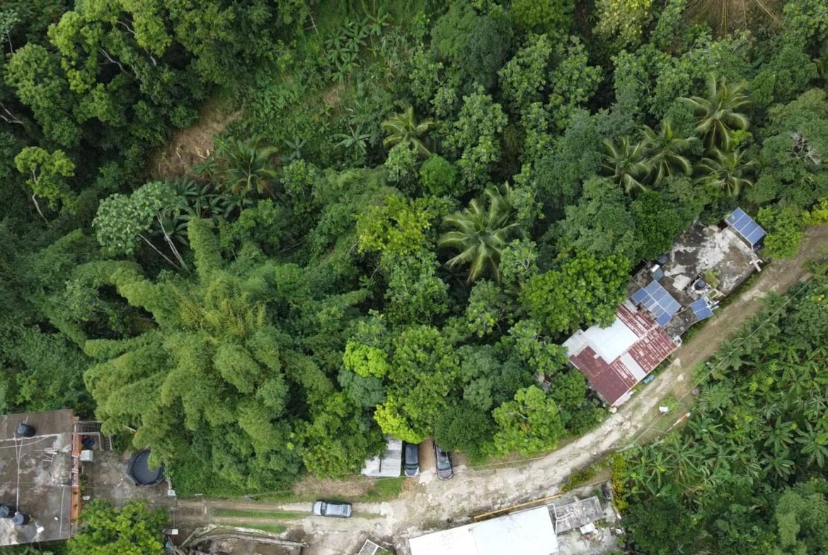 Fifth image of Mount Ogle, Lawrence Tave in Lawrence Tavern, St. Andrew, Jamaica - property is For Sale