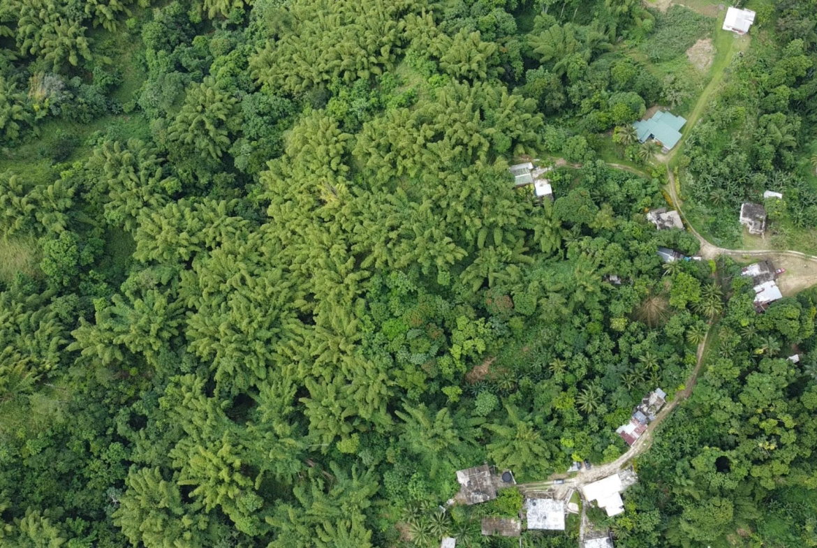 Eighth image of Mount Ogle, Lawrence Tave in Lawrence Tavern, St. Andrew, Jamaica - property is For Sale