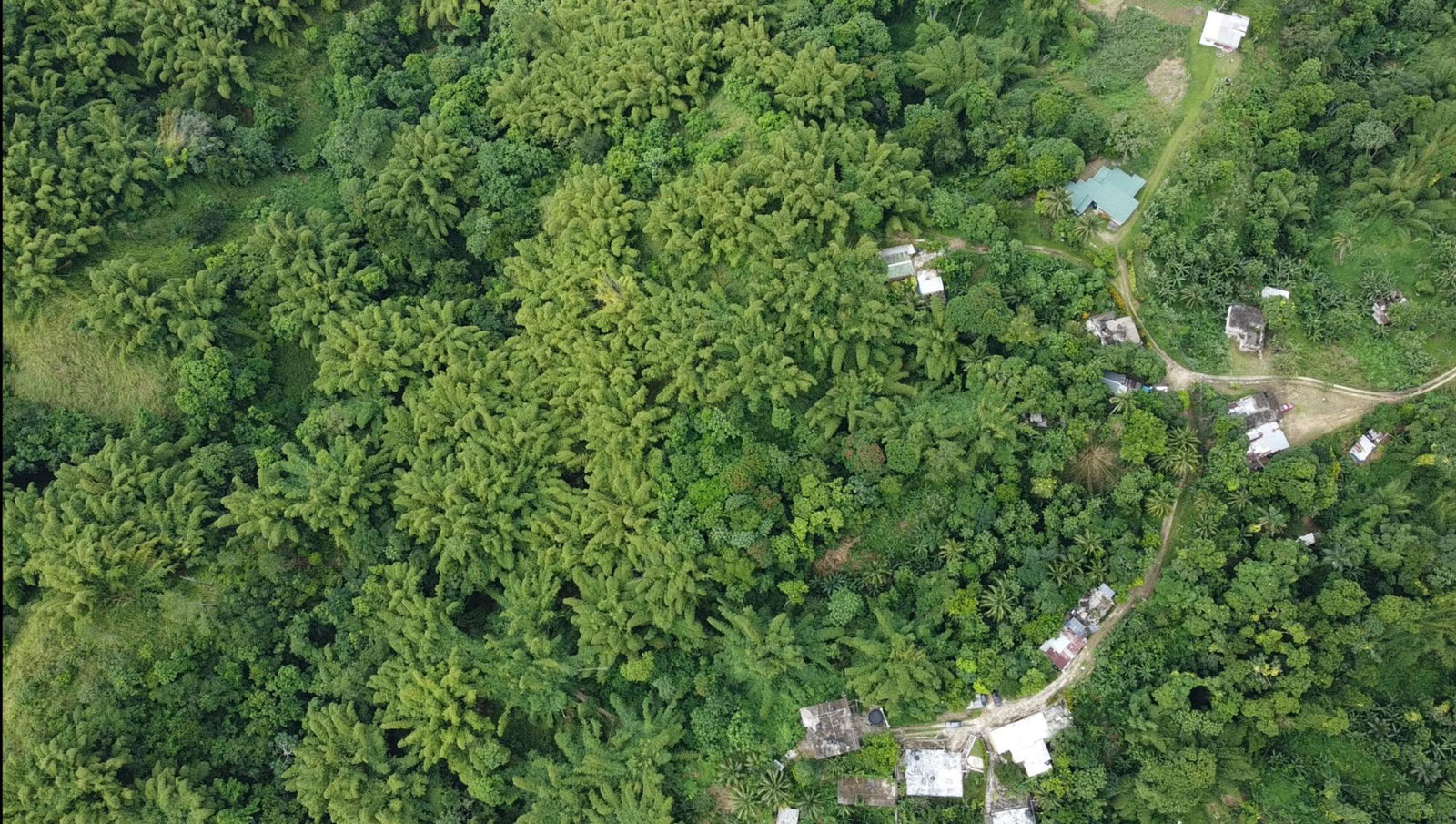 Eighth image of Mount Ogle, Lawrence Tave in Lawrence Tavern, St. Andrew, Jamaica - property is For Sale