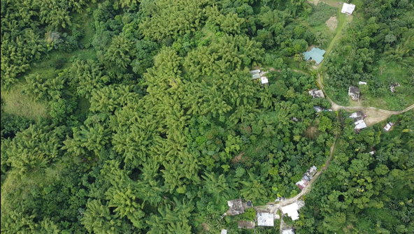 Eighth image of Mount Ogle, Lawrence Tave in Lawrence Tavern, St. Andrew, Jamaica - property is For Sale