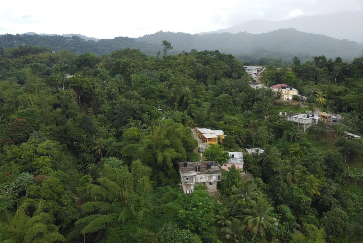 Ninth image of Mount Ogle, Lawrence Tave in Lawrence Tavern, St. Andrew, Jamaica - property is For Sale