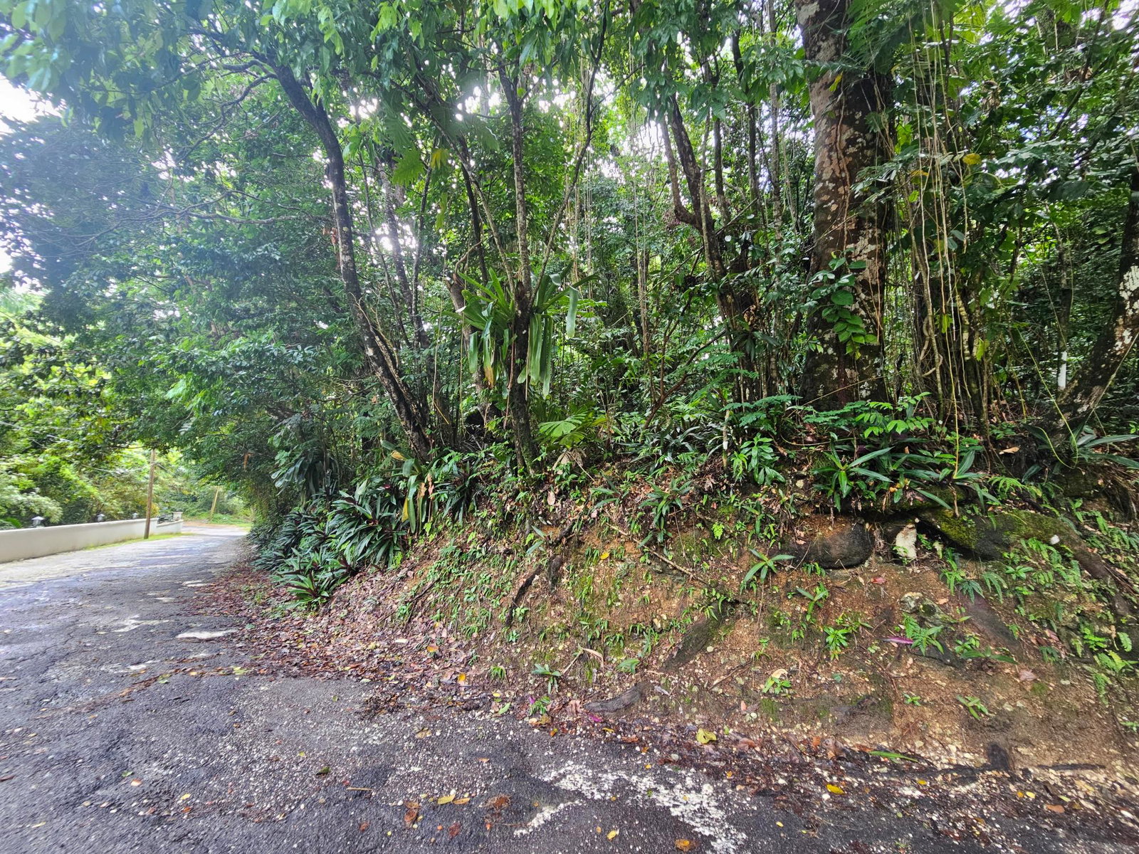 Twelfth image of 153 San San in SAN SAN, Portland, Jamaica - property is For Sale