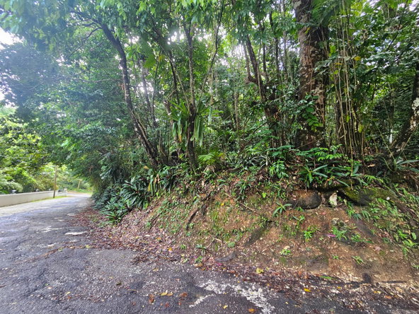 Twelfth image of 153 San San in SAN SAN, Portland, Jamaica - property is For Sale
